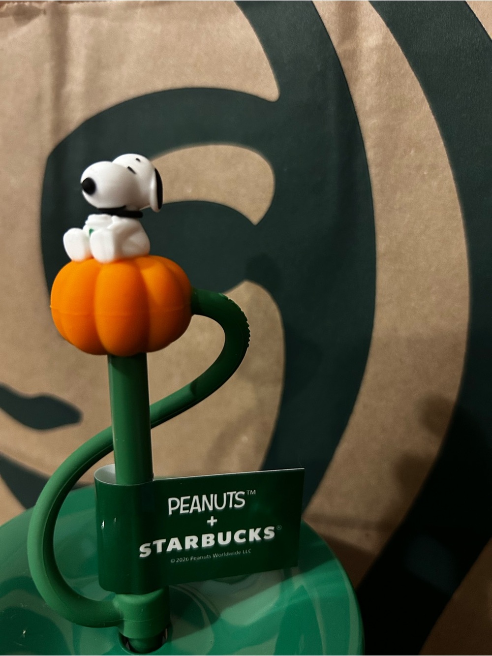 Starbucks Green Peanuts Snoopy Fall Tumbler with Straw Limited Edition - Picture 4 of 5